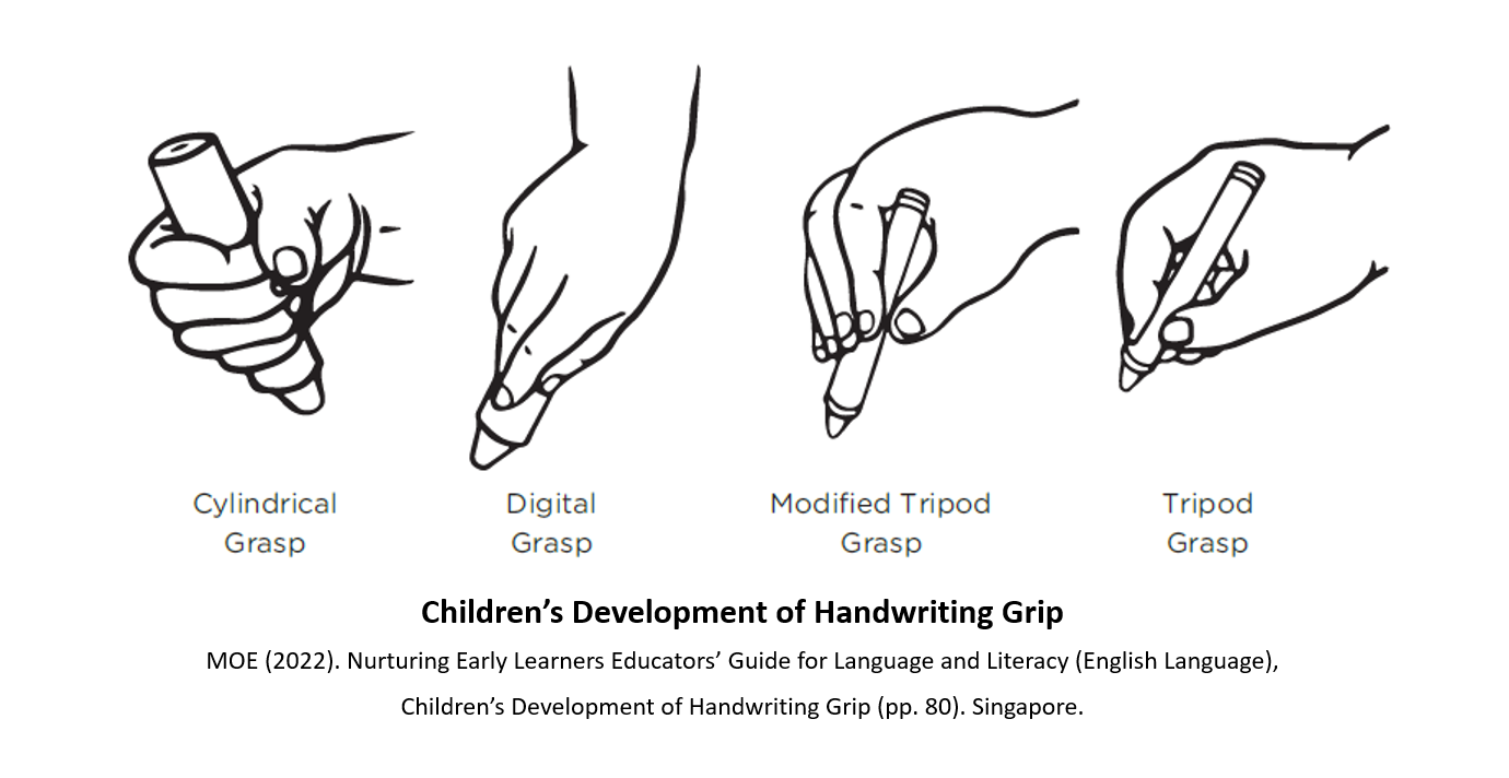 Depicts the children's 4 stage development of handwriting grip